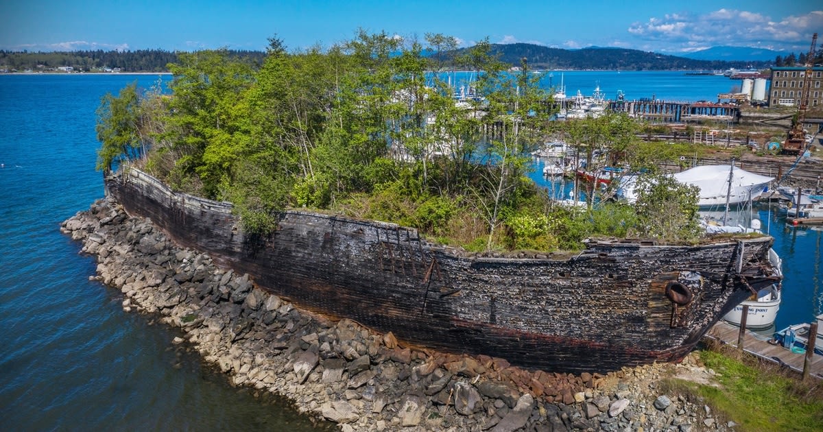 Historic Ship Reclaimed By Nature Has a Second Life As a Protective Breakwater
