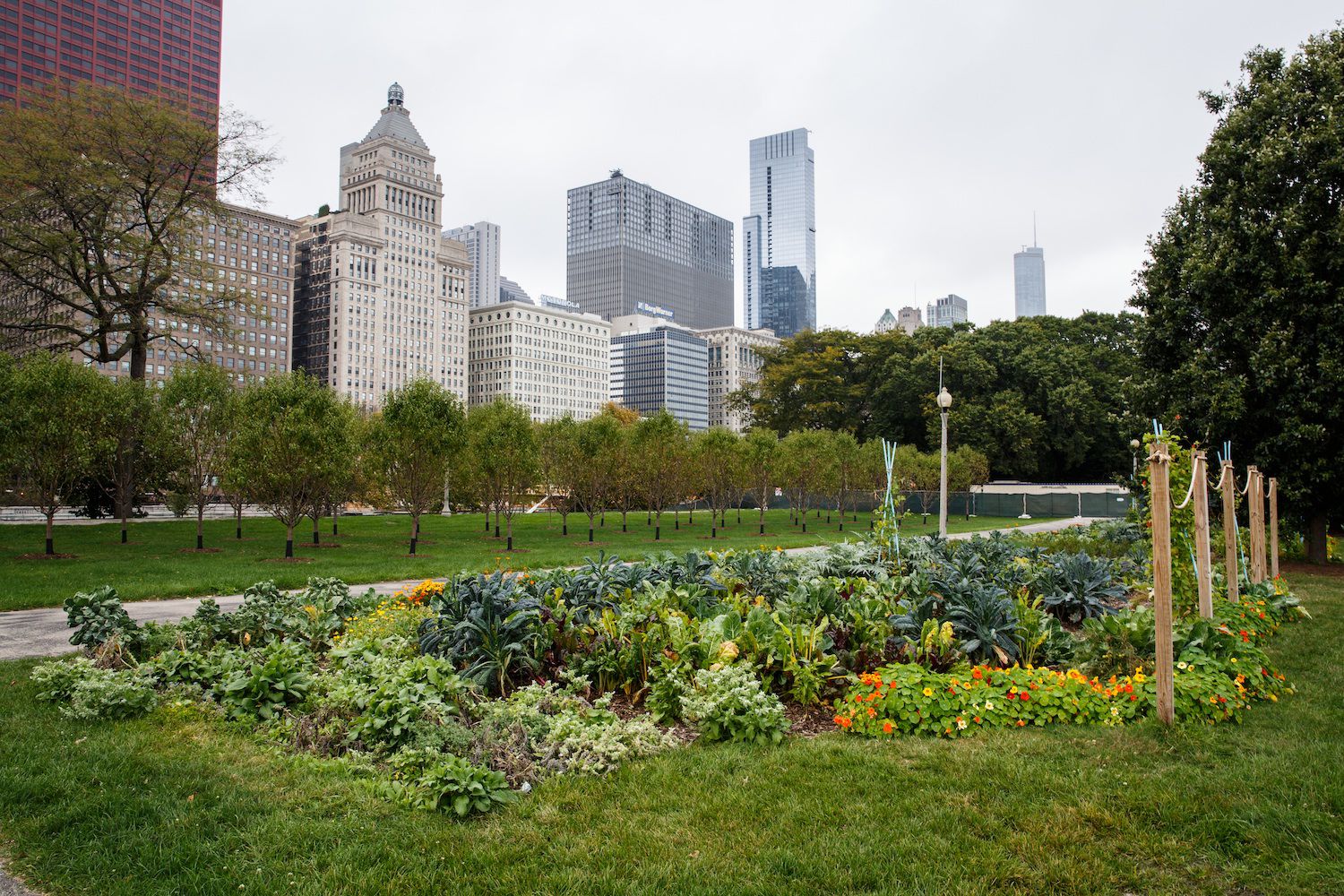 Many Cities in the US Could Grow All Their Own Food