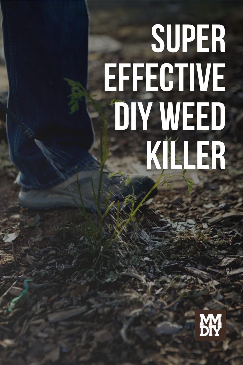 A DIY Weed Killer That Actually Works