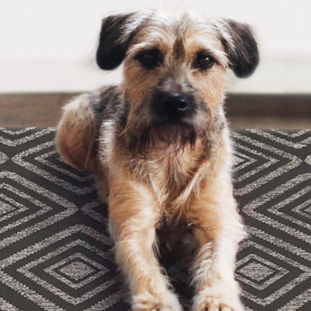 The Best Washable Rugs, According to Pet Owners and Parents