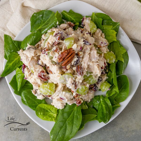 Cranberry Pecan Tuna Salad - Seafood - Life Currents