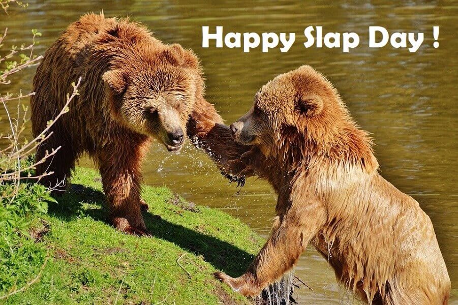 Happy Slap Day Wishes Quotes Images