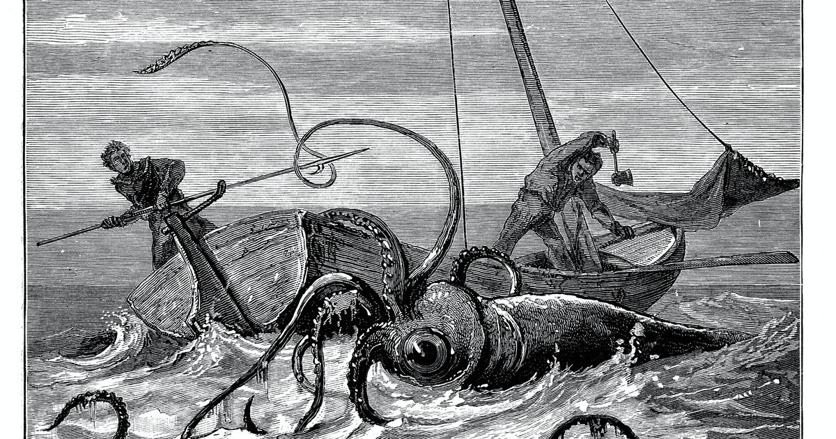 Unprecedented gene study suggests giant squids may be massively intelligent