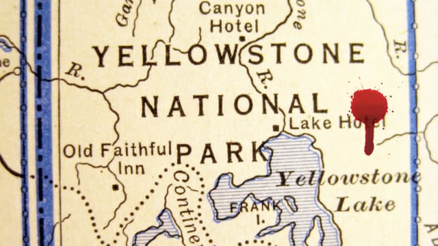The Perfect Crime May Be Possible in Yellowstone Park
