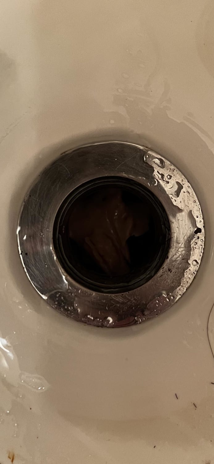 WTF is in my drain? (Zoom in)