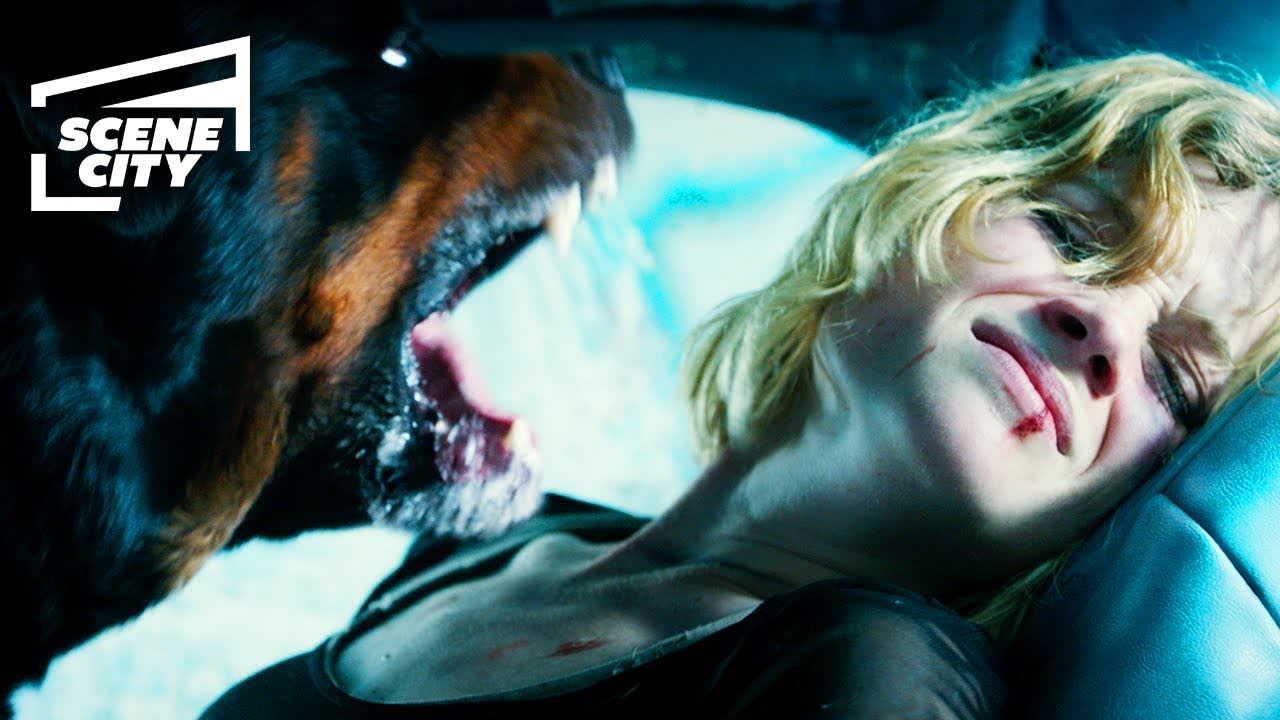 Don't Breathe: Rabid Dog Attack (Jane Levy HD Scene)