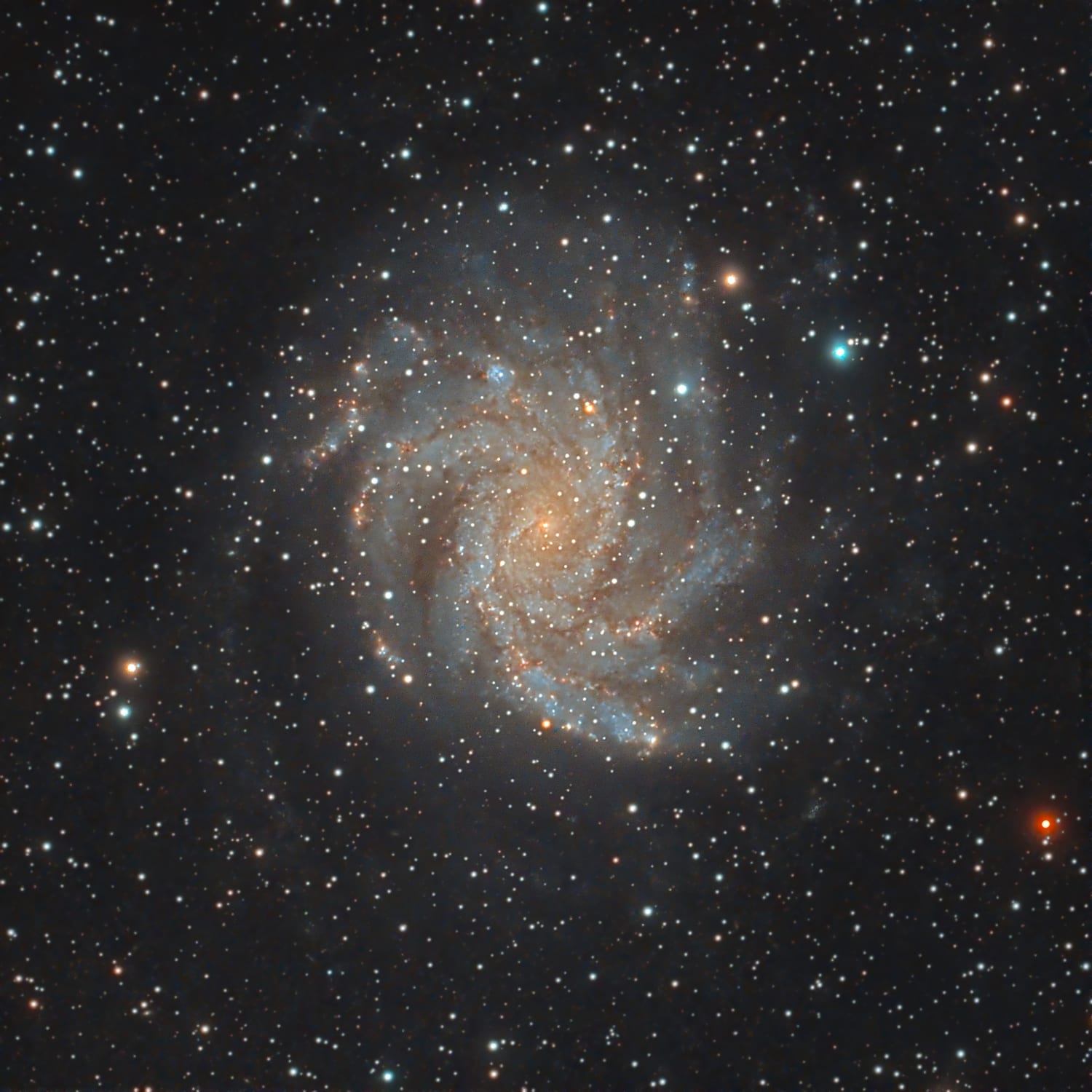 Fireworks Galaxy NGC 6946, with the return of dark skies here in the UK