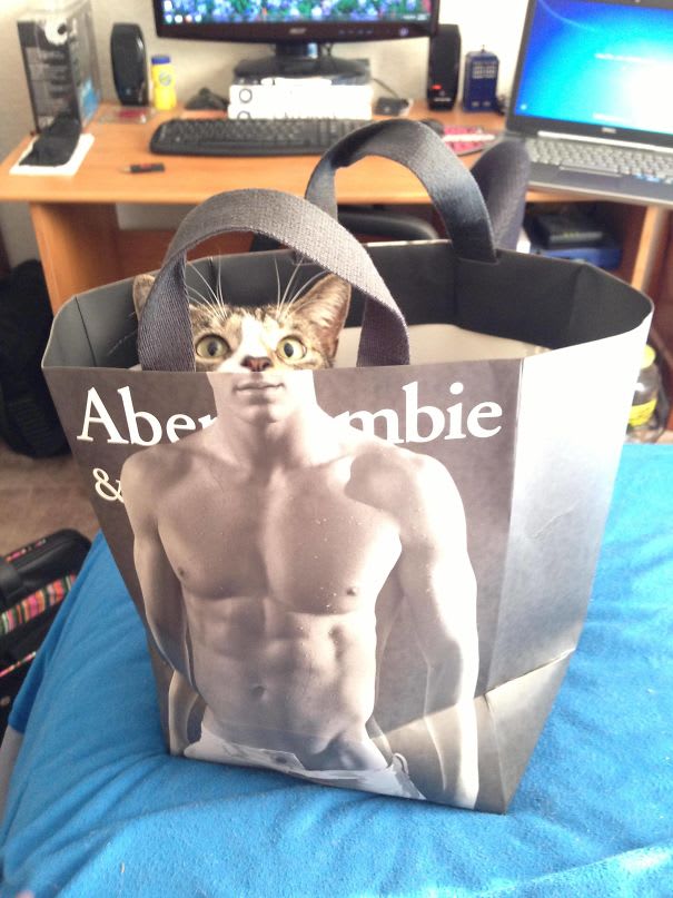 Kitty with six pack abs.