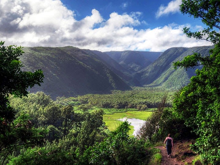 Waterfalls and Rainforests Hiking on Big Island