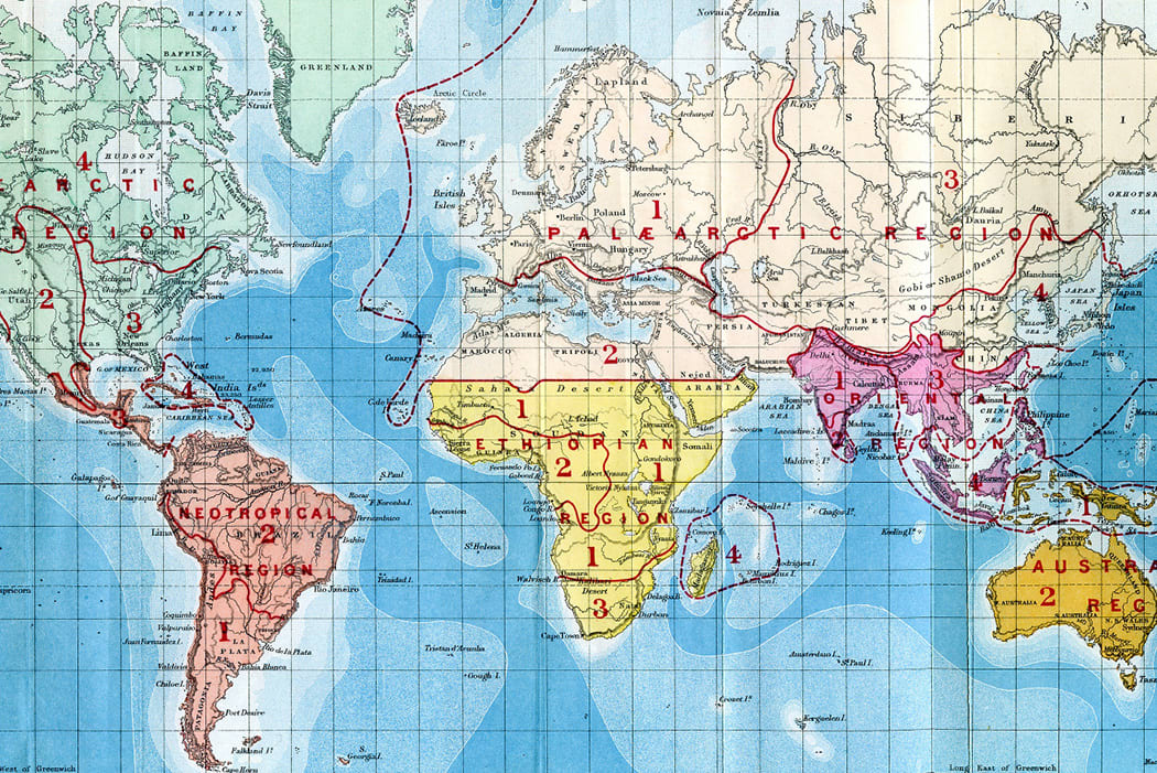 The 1876 Map of the World's Ecozones That Still Holds Up