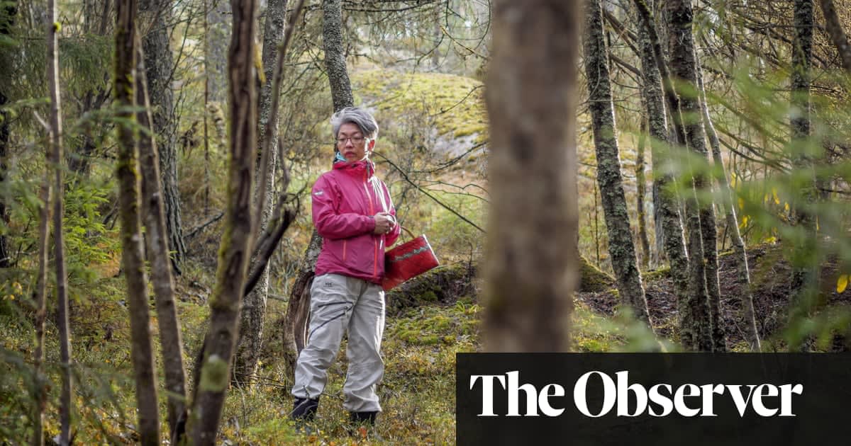 When my husband died, mushroom foraging helped me out of the dark