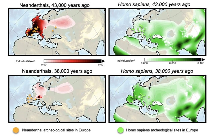Computer Model Simulates Neanderthal Extinction Scenarios - Archaeology Magazine