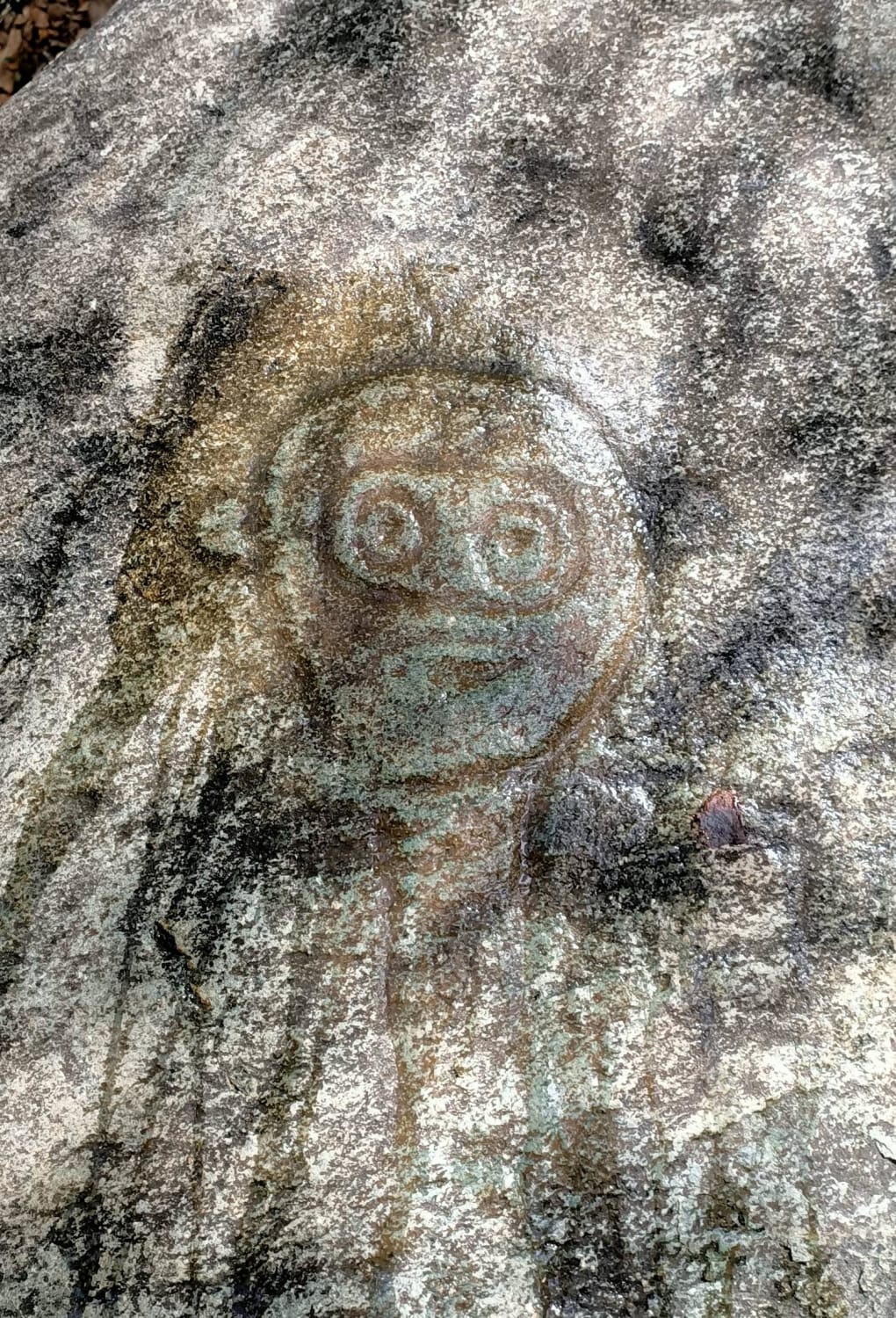 Went to see petroglyphs and found the spy