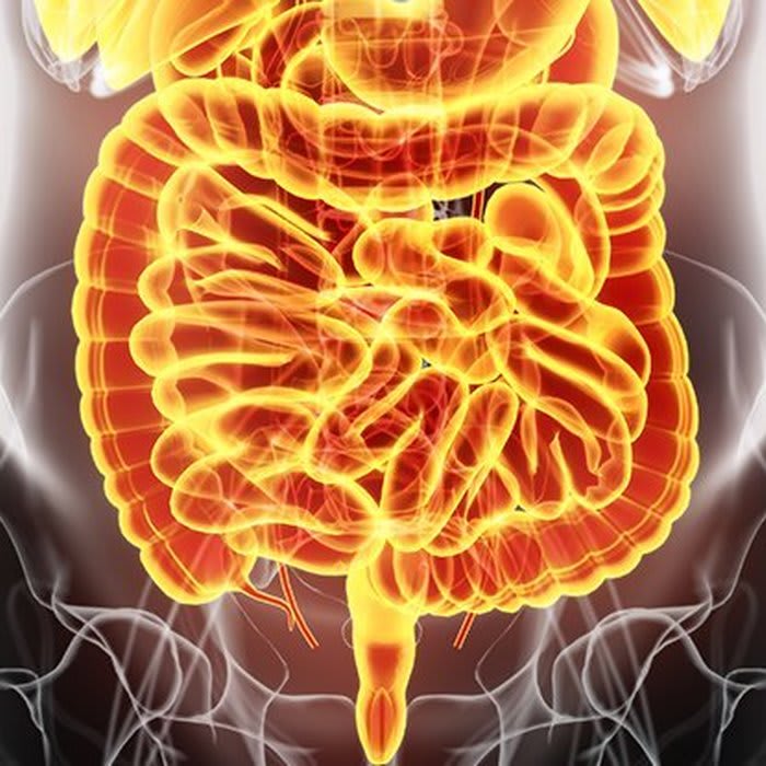 There's Another Link Between Our Gut And The Brain That Could Help Avoid Dementia