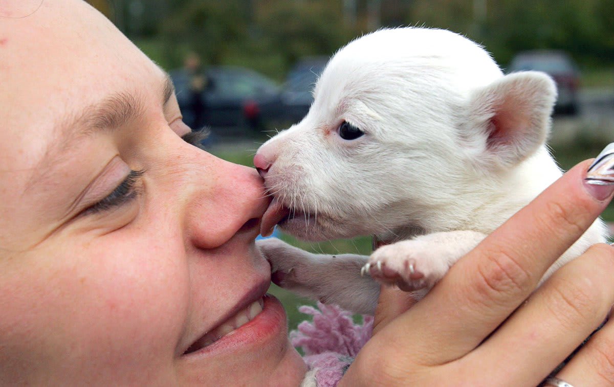 Today is National Puppy Day. 23 Pup photos, around the world, across the years: