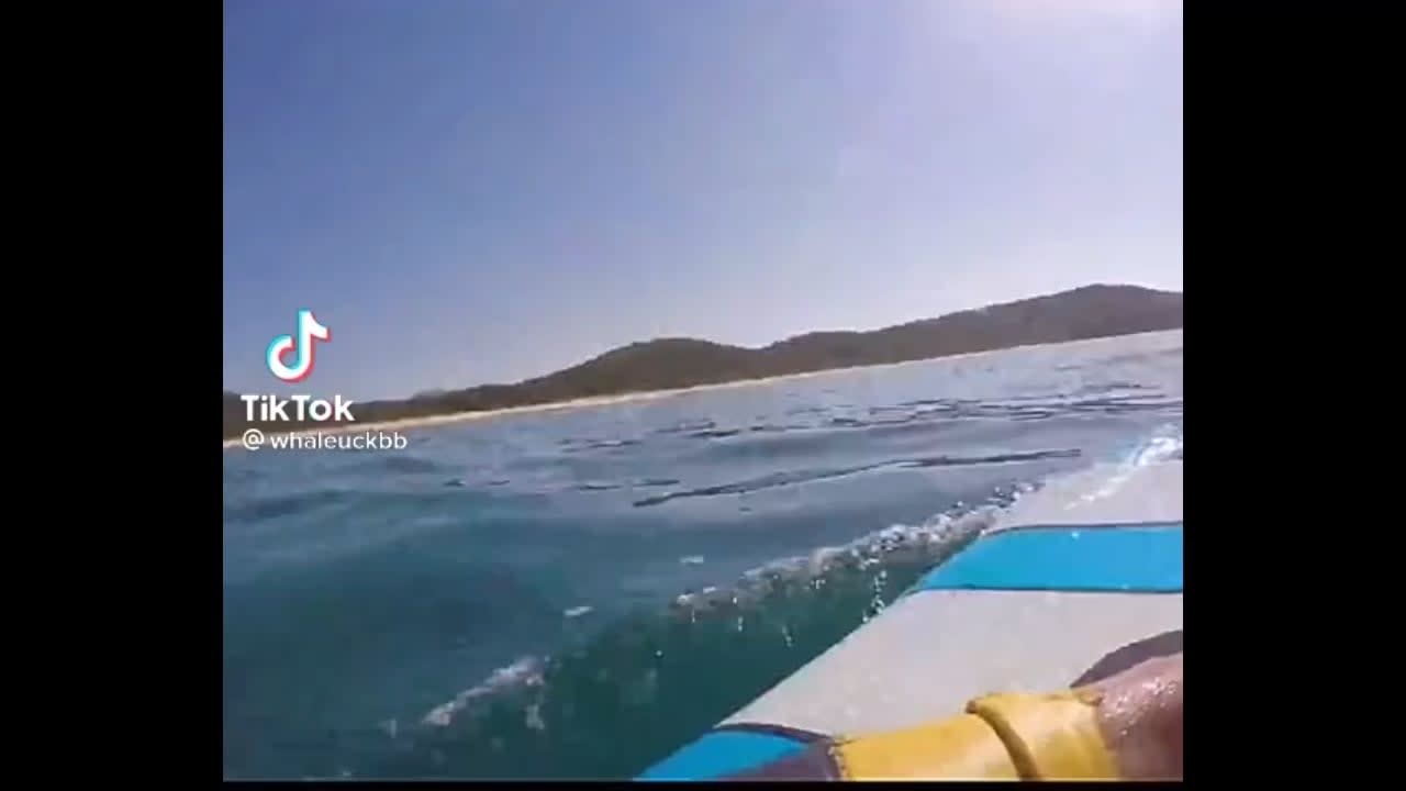 This guy runs into whale while paddle boarding