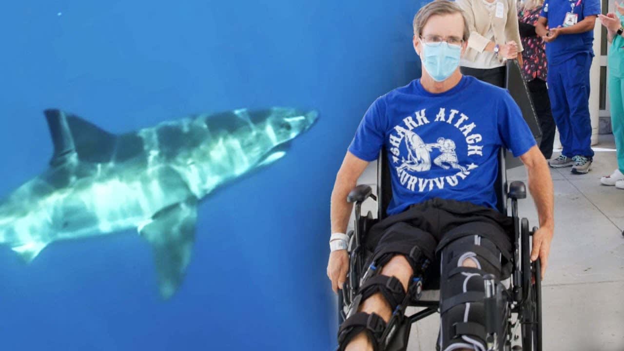 Man Attacked by Shark Credits Strangers for Saving His Life