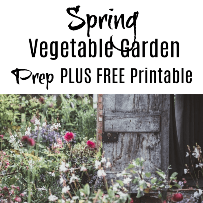 Spring Vegetable Garden Prep Plus Free Printable