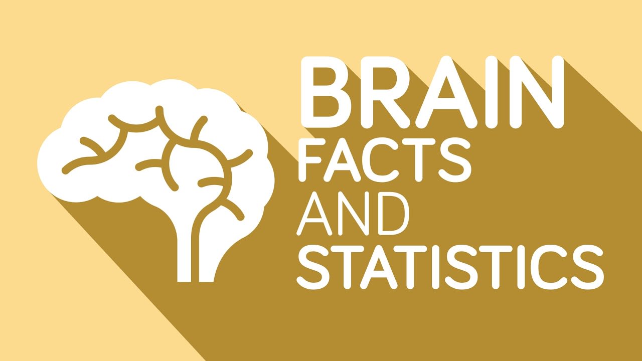 Interesting Facts You Didn’t Know About Your Brain