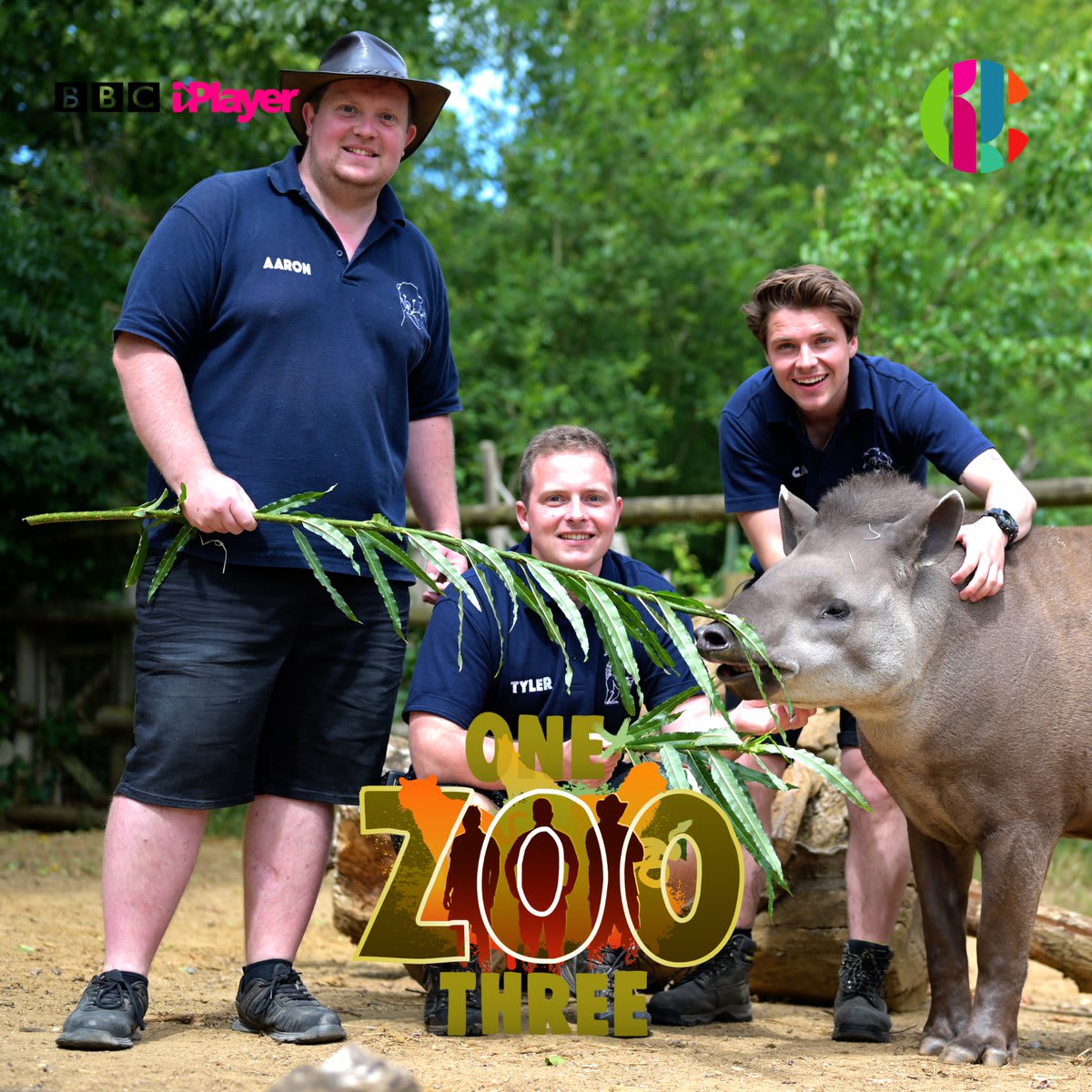 🧡 All new One Zoo Three begins today! Cam, Tyler & Aaron are returning