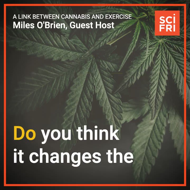 As more states legalize weed for recreational use, researchers are looking to better understand its impacts on our brains. On SciFriLive📻, learn about research looking at how cannabis could be connected to exercise and our endocannabinoid system.
