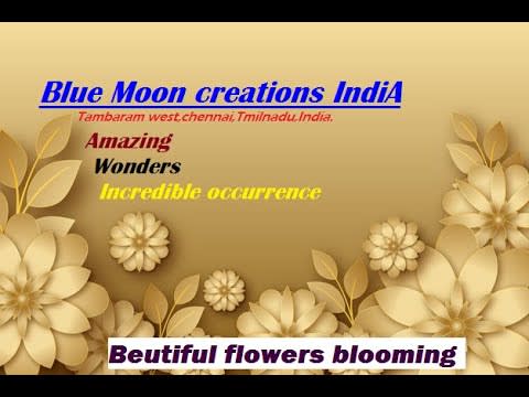 Beautiful flowers blooming' birds singing sounds Blue Moon creations India