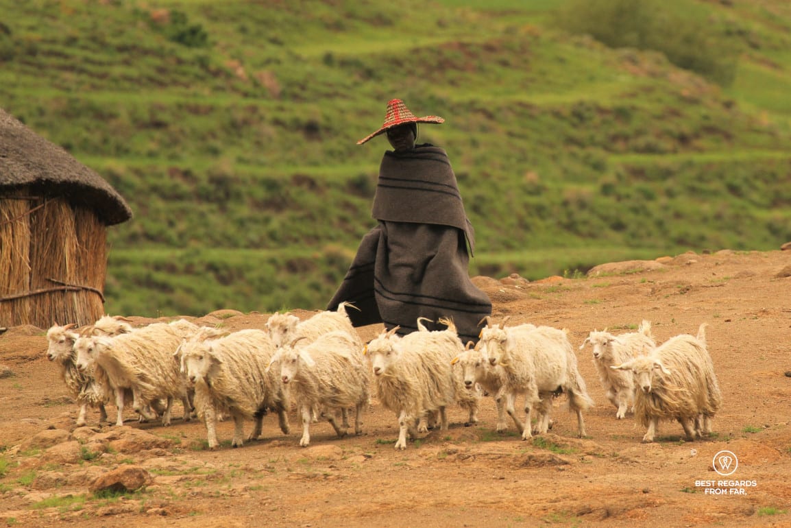 Exploring Eastern Lesotho