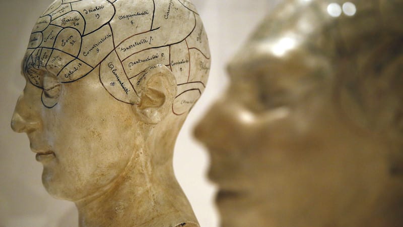 How you can achieve peak brain performance, according to science