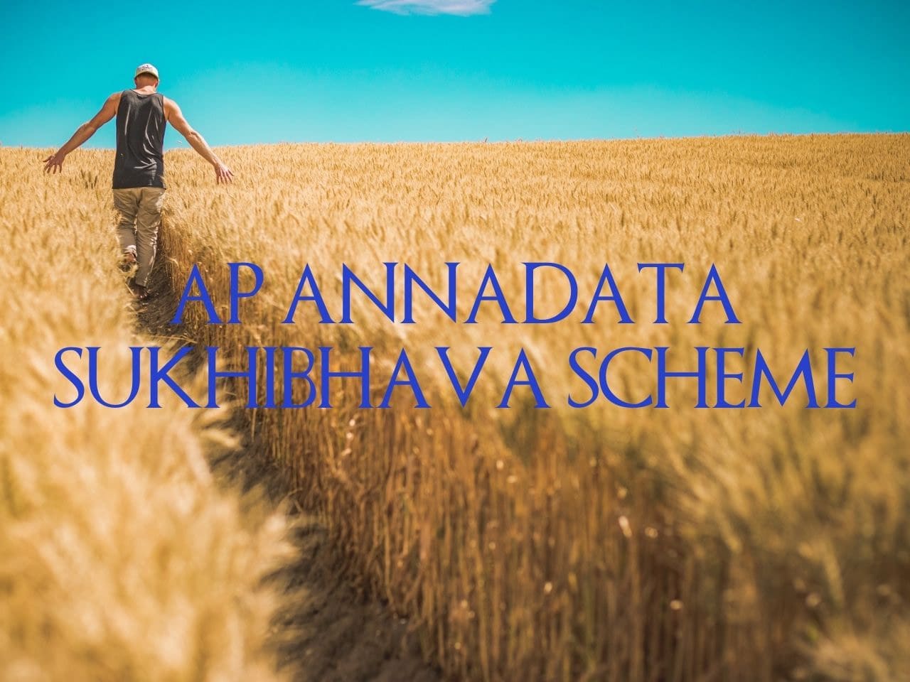 AP Annadata Sukhibhava Scheme: Details, Eligibility & Document Required