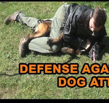 How To Defend Against A Dog