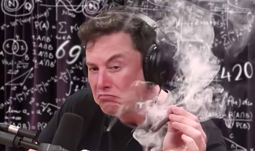 Elon Musk The Memestermind