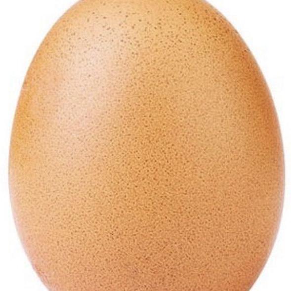 The bizarre story of the most popular photo on Instagram: An egg
