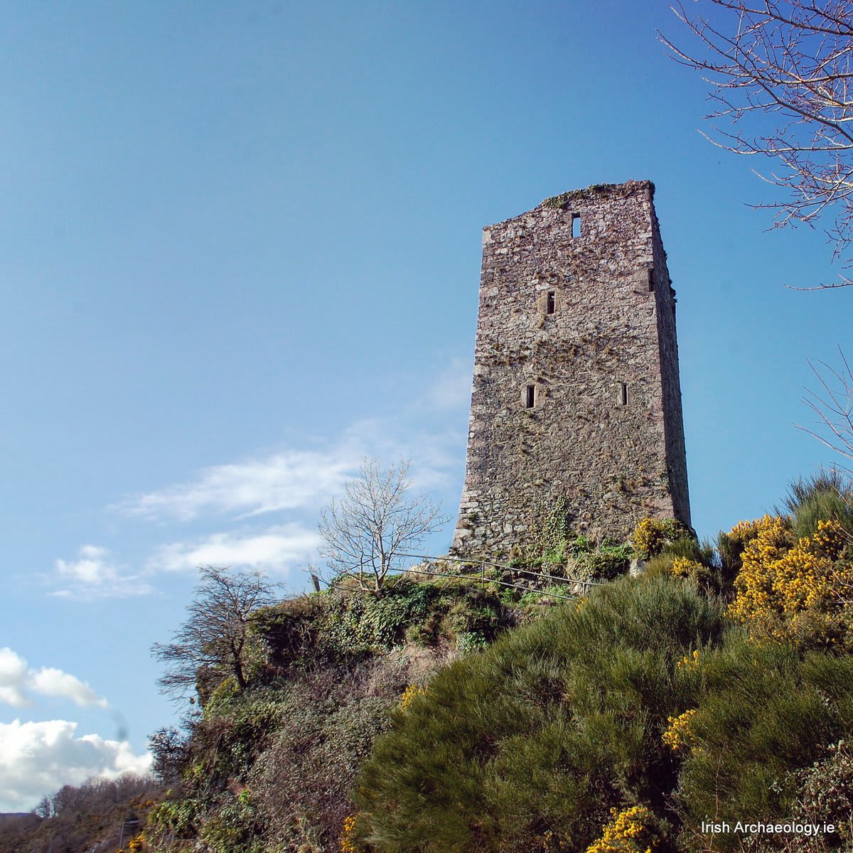 Ferrycarrig castle looking lovely today. This c. 16th century tower was probably built by the Roche family