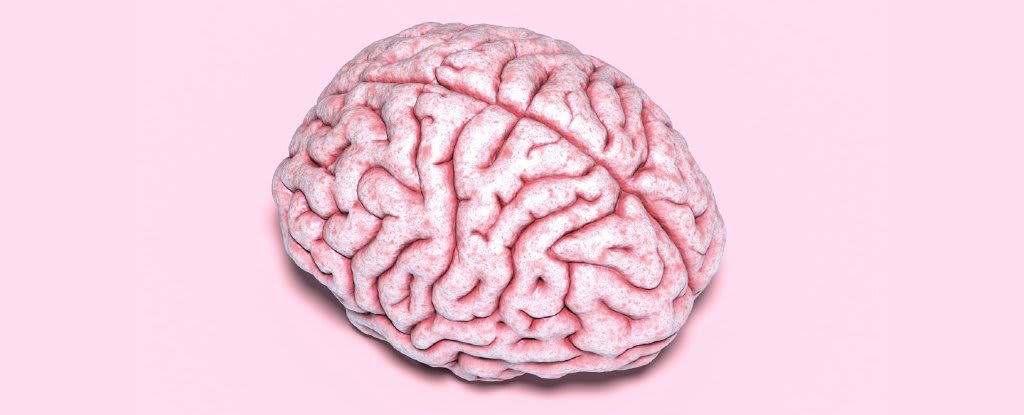 Five Amazing Facts About Your Brain That You Probably Don't Know