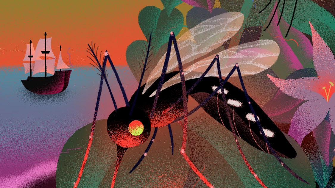 How Mosquitoes Changed Everything