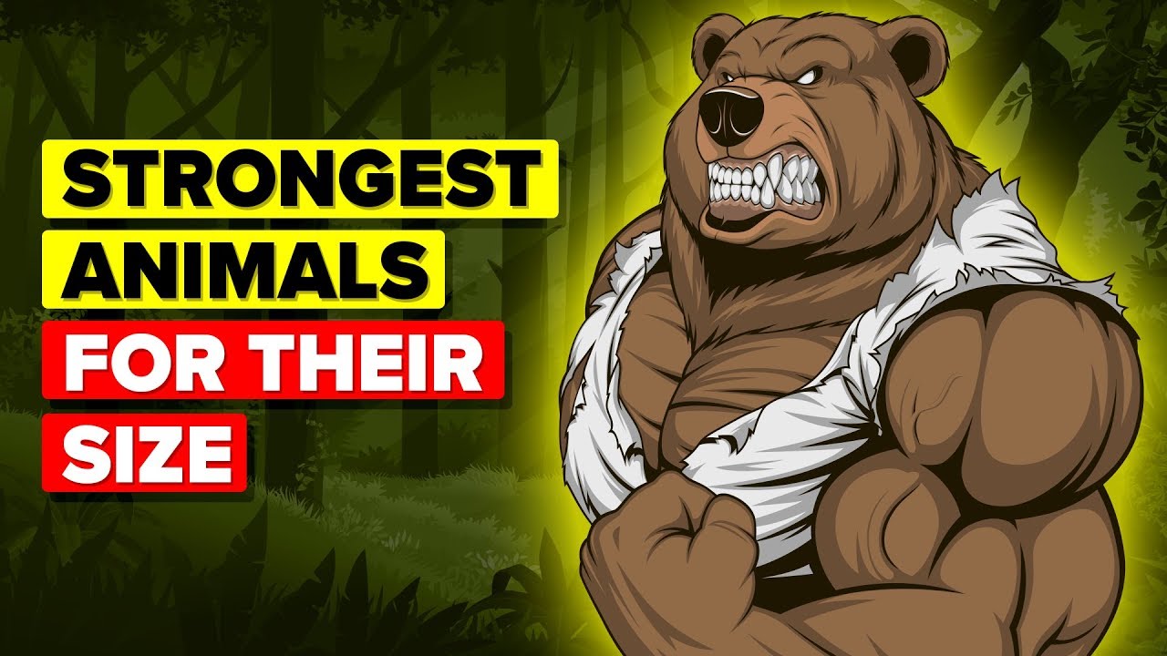 Strongest Animals for Their Size and Their Abilities