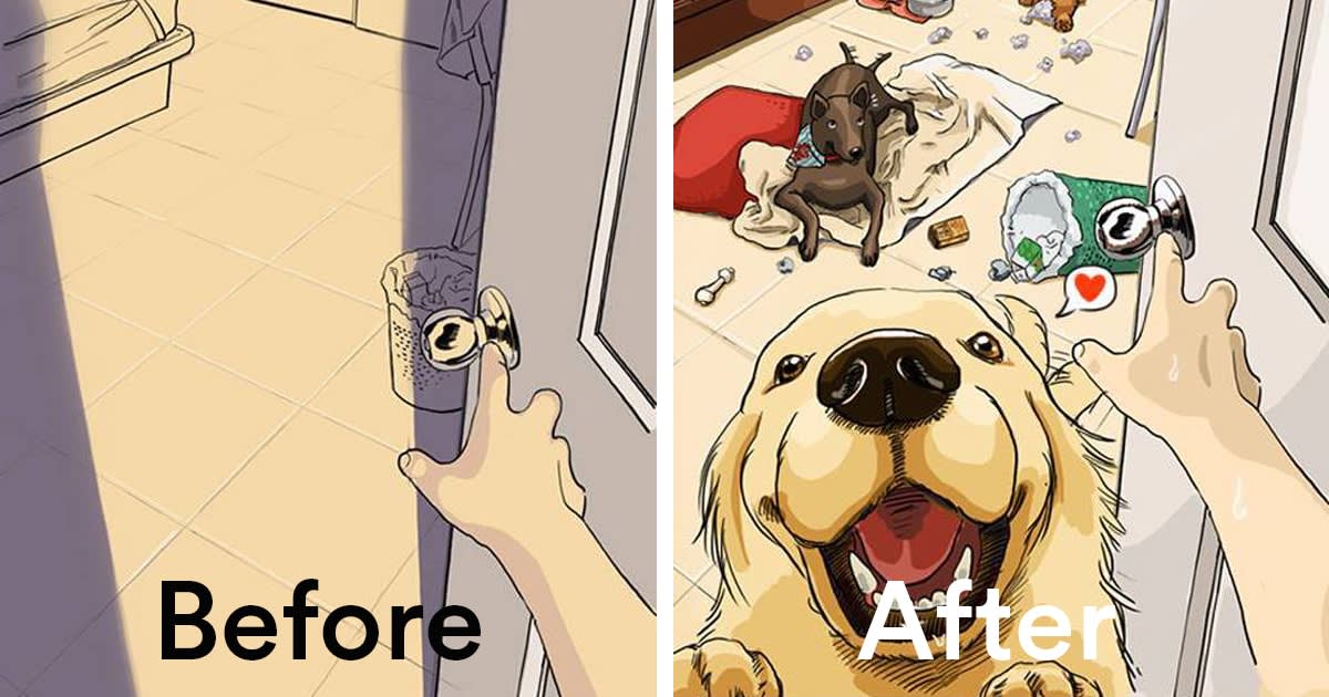 Honest Illustrations Reveal What Life Is Like Before and After You Get a Pet