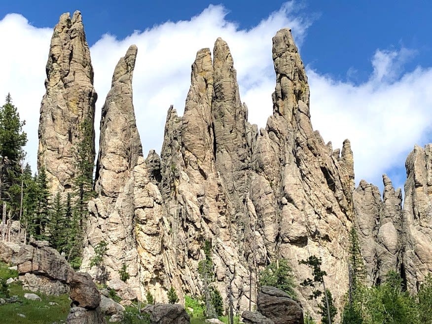 When You Only Have Half A Day In Custer State Park - TWO WORLDS TREASURES