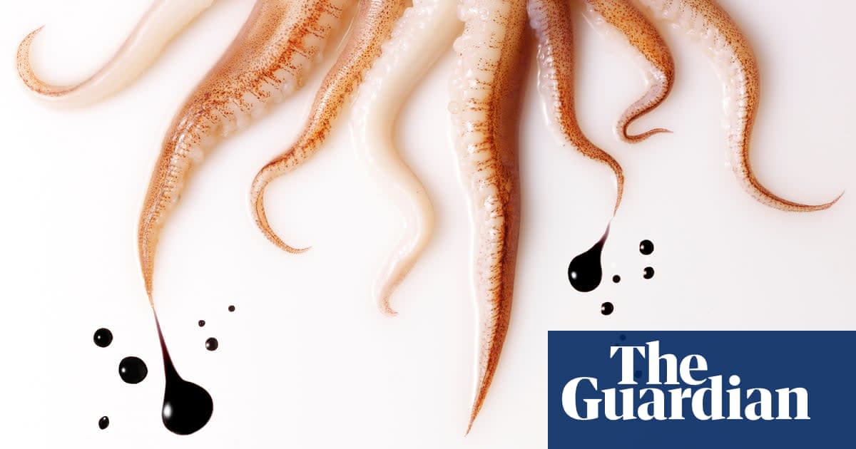 Why do cephalopods produce ink? And what's ink made of, anyway?