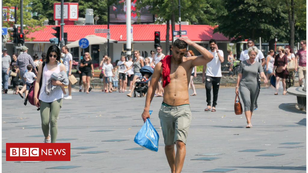 2019 was Europe's warmest year on record