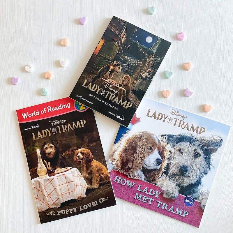 Valentines Day with Lady And The Tramp Kids Books