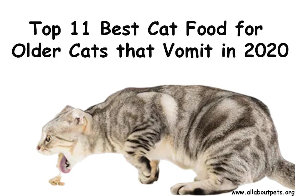 Top 11 Best Cat Food for Older Cats that Vomit in 2020