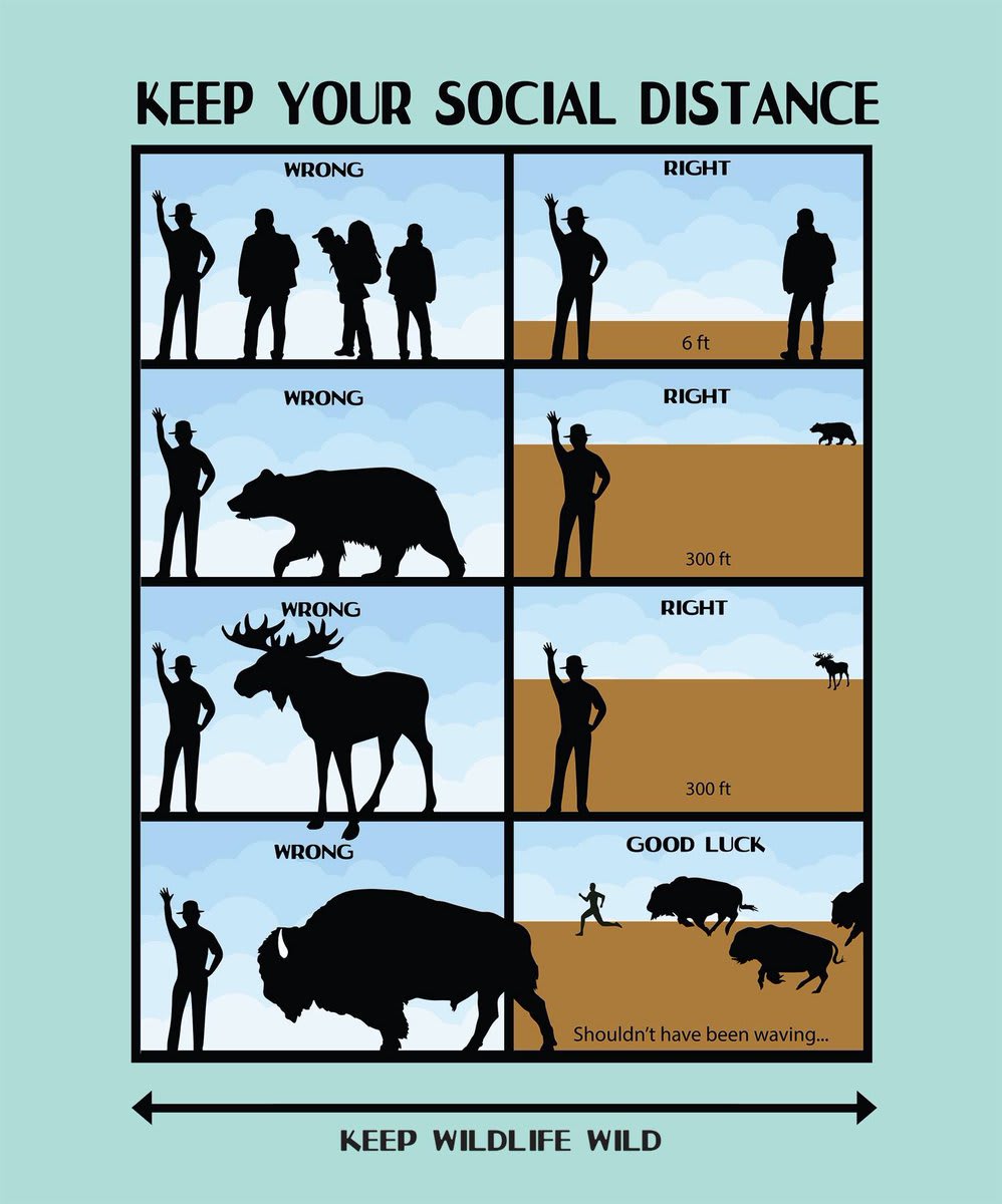 Social distancing means avoiding large gatherings and maintaining distance (6 ft) from others. While we're at it, remember to keep it at least 300 ft for larger wildlife. Check park websites for the most up to date information regarding access and services.