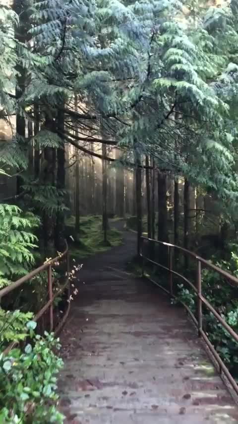 This stunning hiking trail