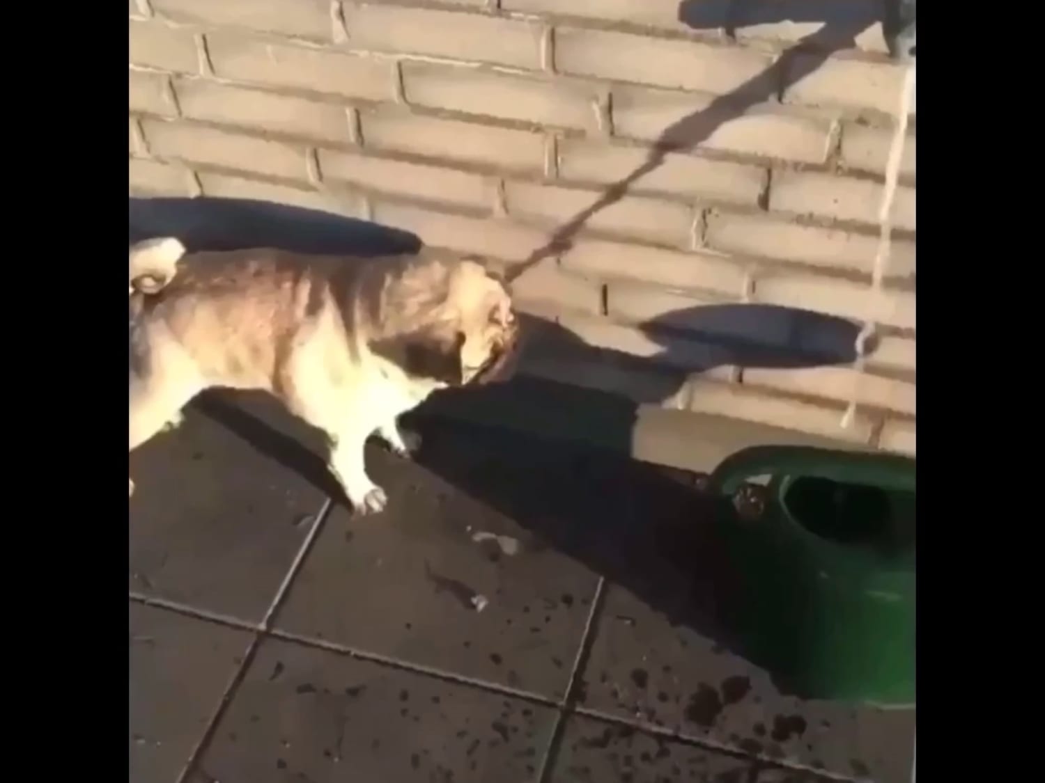 to drink the water.