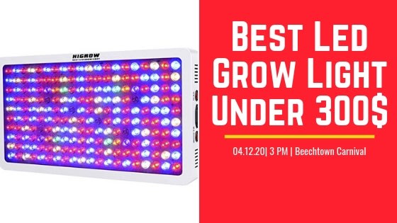 Best LED Grow Light Under 300 Review in 2019 (Updated)