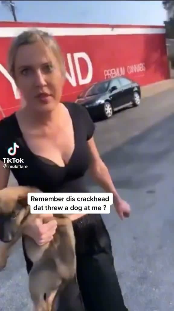 One year later: follow-up on puppy thrown by crazy woman at man