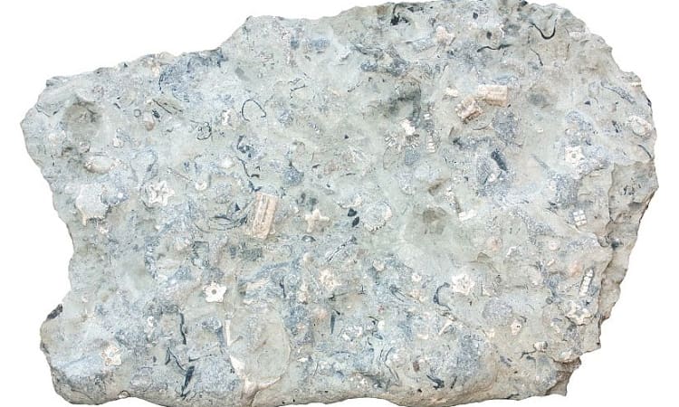 All You Need to Know About Limestone & How It Formed?