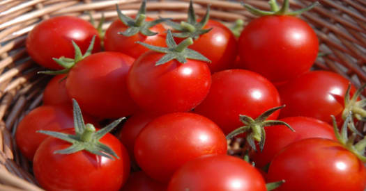 Did you know that tomatoes can protect you from gastric cancer?