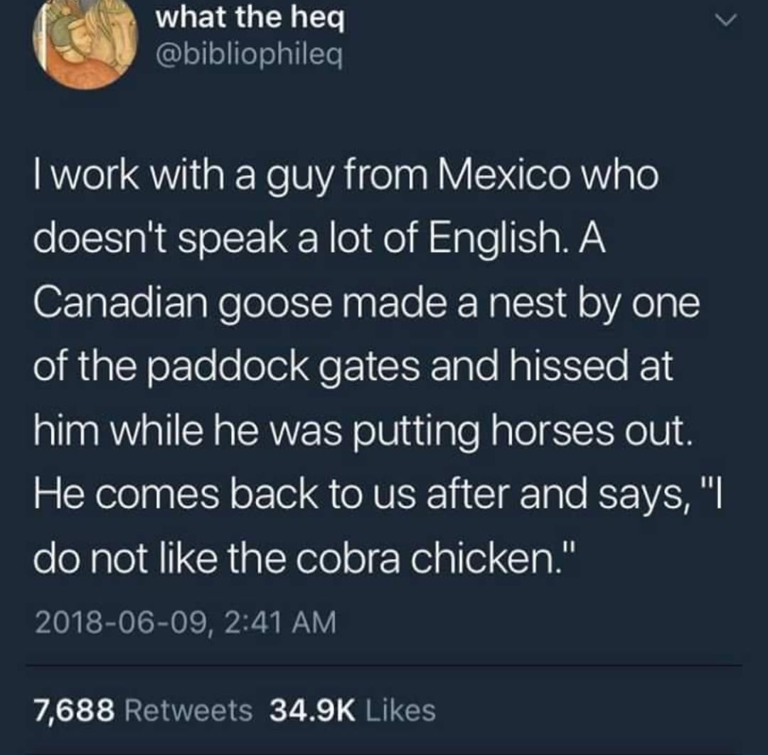 I do not like the cobra chicken